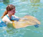 A smiling guest meets a stingray at the surface of the lagoon.
