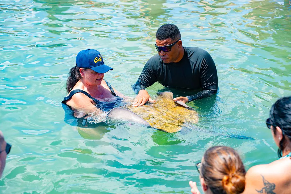 A guide assists a guest with a stingray while other visitors watch.